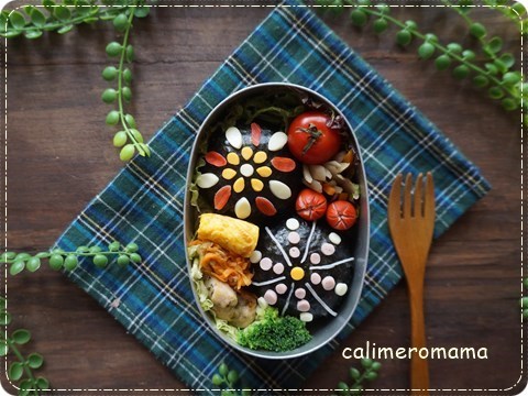 花火のお弁当 花火のお弁当