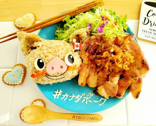 絶品生姜焼きレシピ&成長ホルモン:畜産薬剤不使用のカナダポーク♪(*´艸`*)脂身しつこくないのよ~♪ 絶品生姜焼きレシピ&成長ホルモン:畜産薬剤不使用のカナダポーク♪(*´艸`*)脂身しつこくないのよ~♪