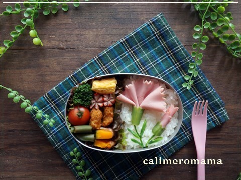 母の日☆カーネーションのお弁当