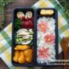 【息子のオベントウ】 コスモスのお弁当 【息子のオベントウ】 コスモスのお弁当