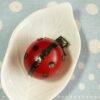 トマトでてんとう虫 – 海苔でデコって可愛い天道虫