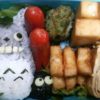 葉っぱを乗せたトトロ&まっくろくろすけ弁当