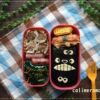 【娘と息子のオベントウ】　トトロのお弁当