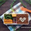【娘のオベントウ】　ダッフィーのお弁当