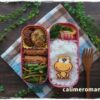 【娘のオベントウ】 ど根性ガエル☆ピョン吉のお弁当 【娘のオベントウ】 ど根性ガエル☆ピョン吉のお弁当