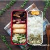 【娘のオベントウ】　トトロのお弁当