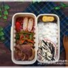 【息子のオベントウ】　ドラゴンボール☆ベジータのお弁当